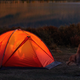 Image for article titled Respectful Bear Waiting To Attack Tent Until Couple Inside Finishes Fight